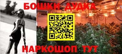 индика Мариинск