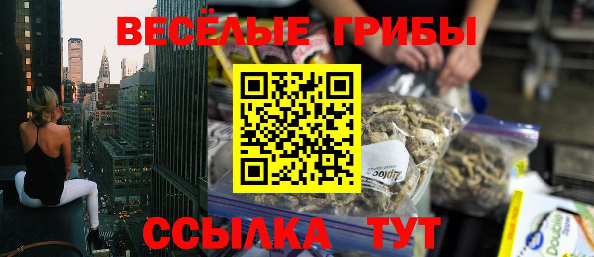 купить   Галлюциногенные грибы GOLDEN TEACHER  Вход с VPN  Псилоцибиновые грибы Psilocybine cubensis  Дятьково 