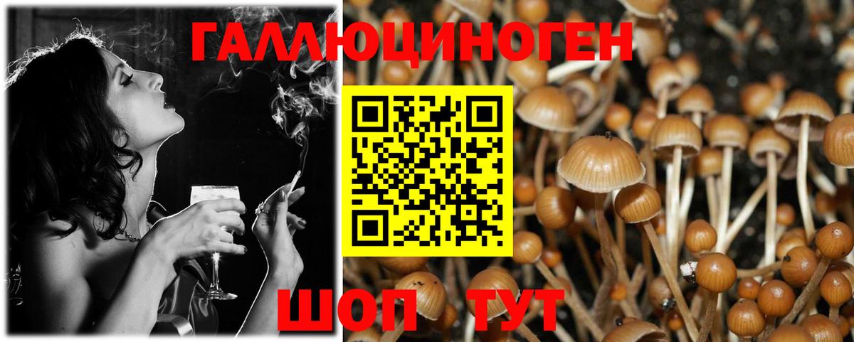 Галлюциногенные грибы Cubensis Дятьково